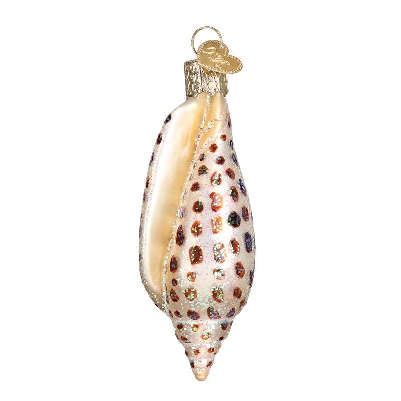 Old World Christmas - Junonia Shell Ornament - Multicolored