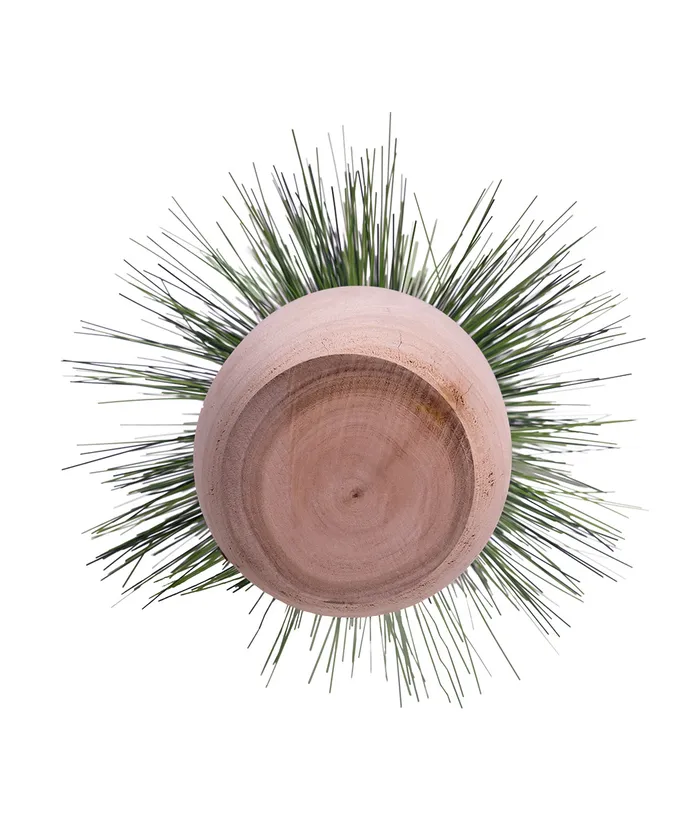 Kurt S. Adler - 15"-19" Un-Lit Miniature Slim Pine Potted Trees, 3-Piece Set - Image 4