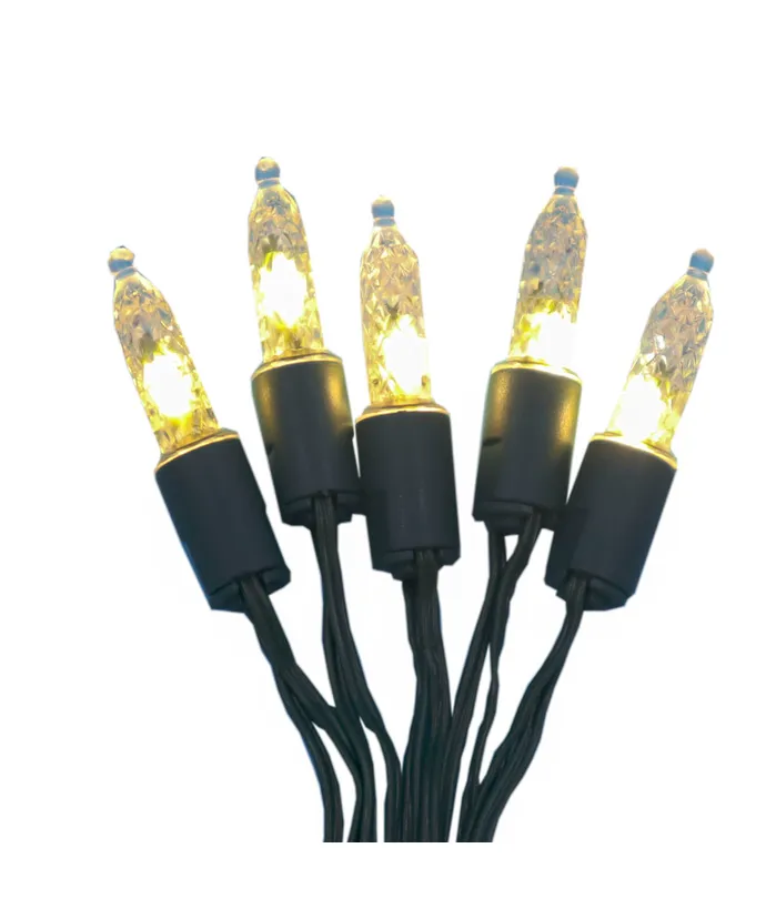 Kurt S. Adler - 20-Light Battery Operated Warm White/Multicolor Miniature Fairy Lights With Clear Wire - Image 2