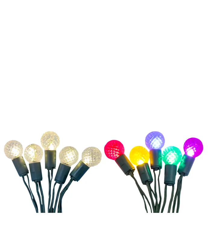 Kurt S. Adler - 20-Light Battery Operated Warm White and Multicolor Berry Bulb Fairy Lights With Green Wire, 2 Assorted